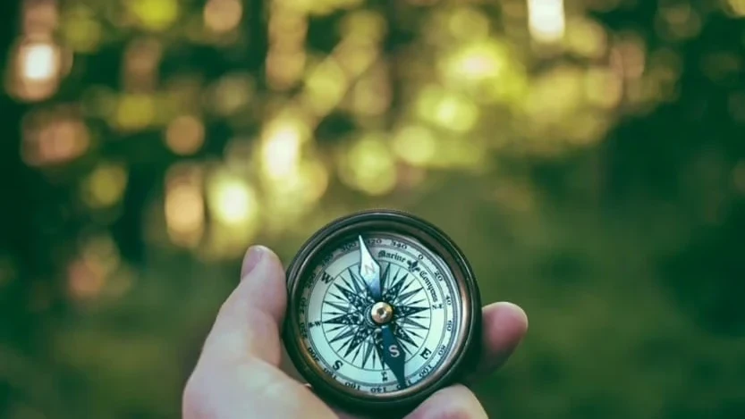 How AI-Powered Semantic Search is Revolutionizing Government Contract Discovery