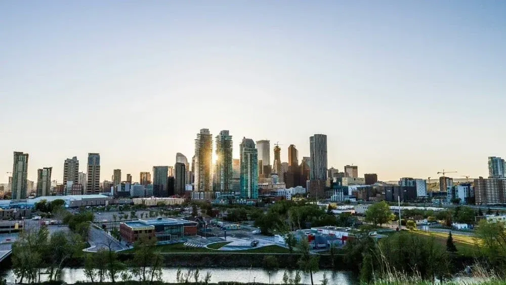 Winning Government Contracts in Alberta