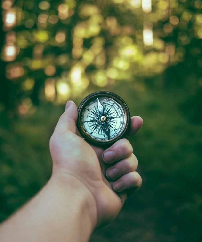 How AI-Powered Semantic Search is Revolutionizing Government Contract Discovery
