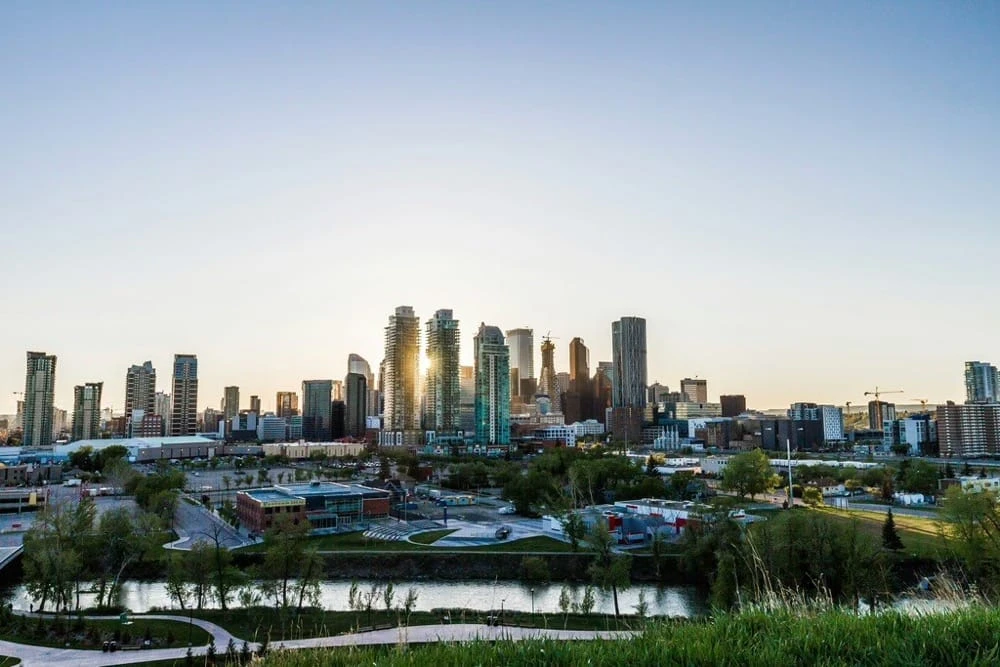 Winning Government Contracts in Alberta
